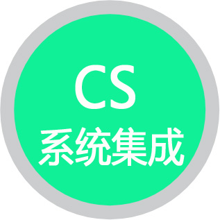 CS信息系统建设和服务能力评估